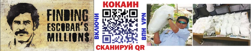 COCAIN Fish Scale  Купить  Шарья 